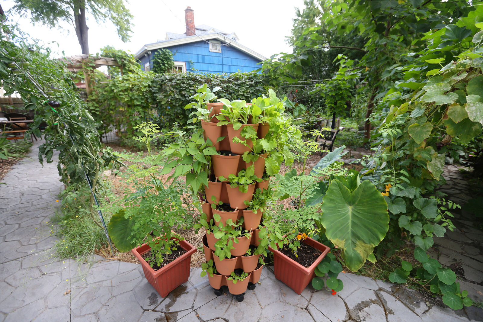 Vertical planter